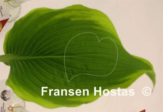 Hosta Do Little